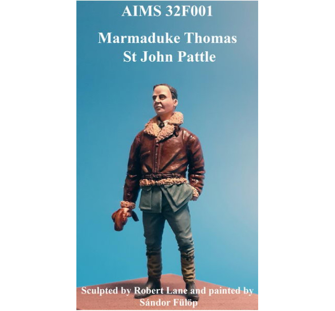 Marmaduke Thomas St John Pattle AIMS 32F001