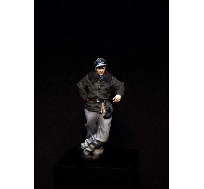 Luftwaffe Pilot AIMS 32F005