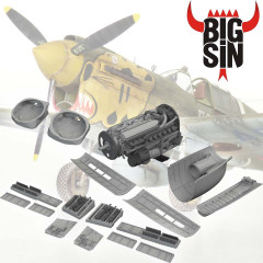 Набір додатків для P-40 1/48 Eduard SIN648139