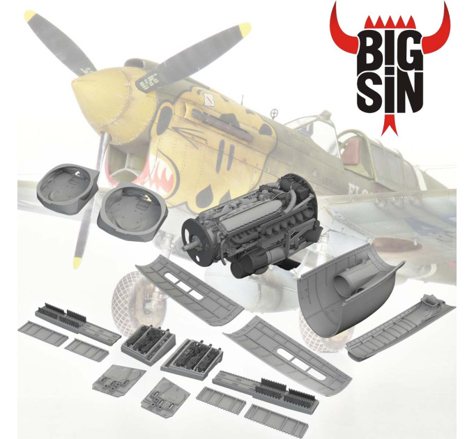 Набір додатків для P-40 1/48 Eduard SIN648139