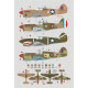 Декаль P-40F Warhawk/Kittyhawk Mk.IIA 1/32 DKdecals DK32008