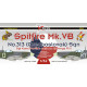 Декаль Spitfire Mk.VB 313 Sqn P.II 1/32 DKdecals DK32015