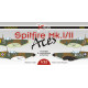 Декаль Spitfire Mk.I/II Aces 1/32 DKdecals DK32025