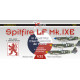 Декаль Spitfire LF Mk.IXE післявоєнний CZ AF (310. peruť/1. LD 1/32 DKdecals DK32031