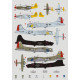 Декаль Словацьке національне повстання – підтримка ВПС США. 1/48 DKdecals DK48036