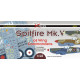 Декаль Spitfire Mk.V командирів крил 1/48 DKdecals DK48045
