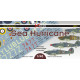 Декаль SeaHurricane 1/48 DKdecals DK48063