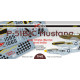 Декаль P-51B/C Mustang ч.I 1/48 DKdecals DK48068