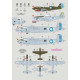 Декаль Літаки CACW 1/48 DKdecals DK48077