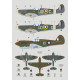 Декаль Keith W Truscott та його літак 1/48 DKdecals DK48P02
