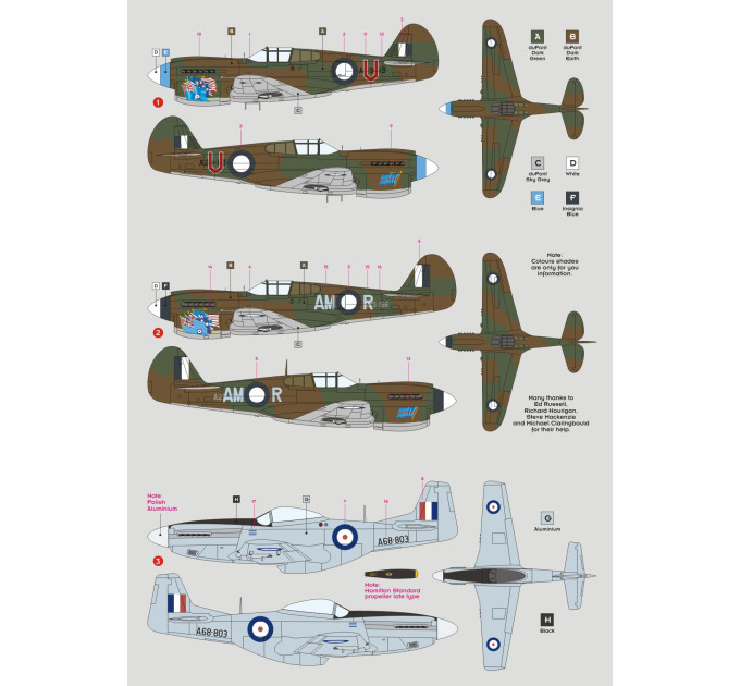 Декаль Richard Creswell та його літак 1/48 DKdecals DK48P04