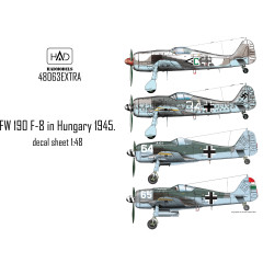 Декаль Fw 190F-8 1/48 частина 1 HADmodels 48063