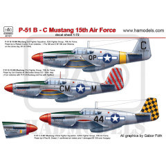 Декаль P-51B 1/48 Mustang HADmodels 48101