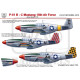 Декаль P-51B 1/48 Mustang HADmodels 48101