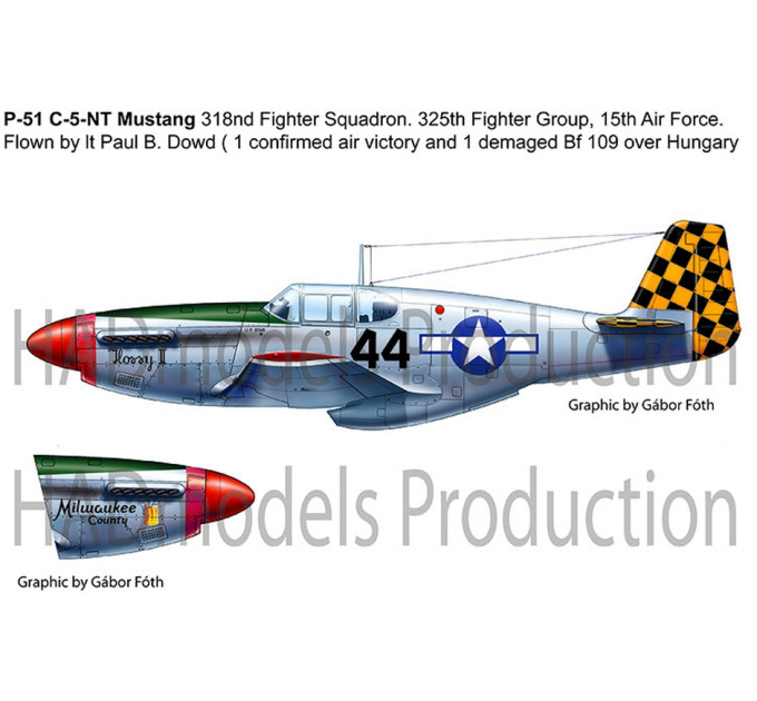 Декаль P-51B 1/48 Mustang HADmodels 48101