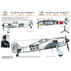 Декаль Fw 190F-8 / A-8 1/48 HADmodels 48115