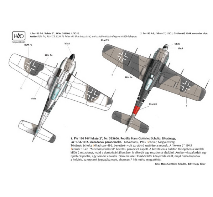 Декаль Fw 190F-8 / A-8 1/48 HADmodels 48115