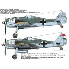 Декаль Fw 190F-8 1/48 частина 4 HADmodels 48178