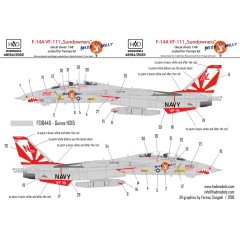 Декаль F-14A VF111 1/48 HADmodels 48194