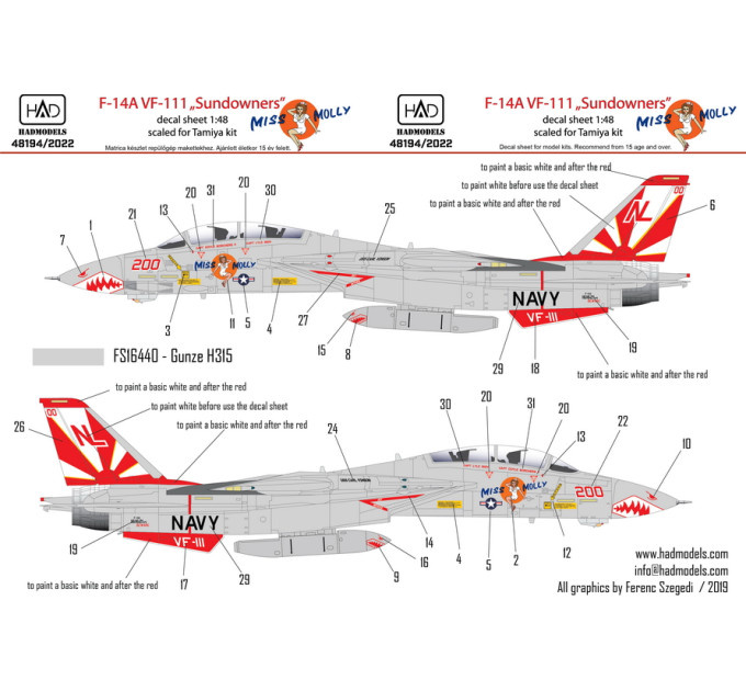 Декаль F-14A VF111 1/48 HADmodels 48194