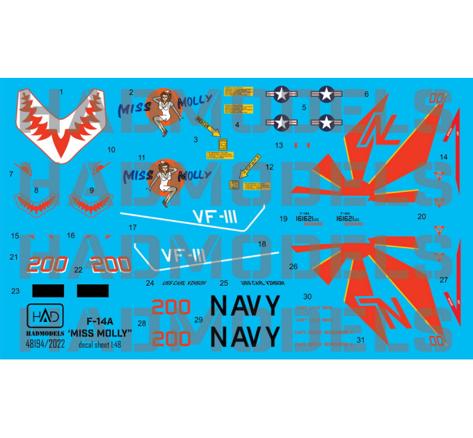 Декаль F-14A VF111 1/48 HADmodels 48194
