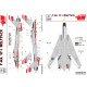 Декаль F-14A VF-1 1/48 Wolfpack USS Enterprise HADmodels 48218