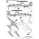 Декаль E-2B/C 1/48 VAW-124 HADmodels 48225