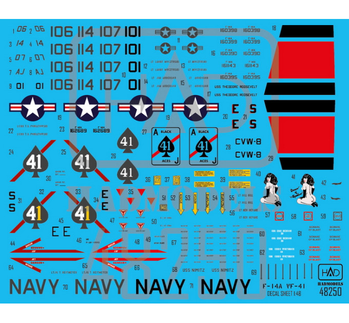 Декаль F-14A Black Aces 1/48 частина 2 HADmodels 48250