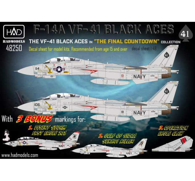 Декаль F-14A Black Aces 1/48 частина 2 HADmodels 48250