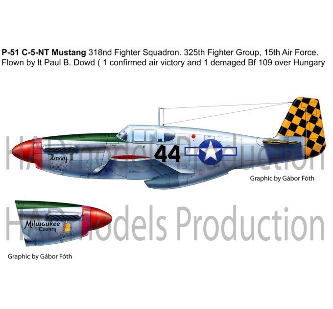 Декаль P-51B Mustang 1/72 HADmodels 72101