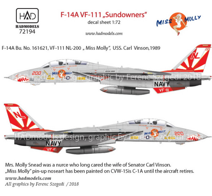 Декаль F-14A 1/72 HADmodels 72194