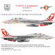 Декаль F-14A 1/72 HADmodels 72194