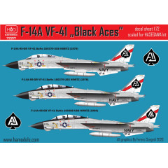 Декаль F-14A 1/72 HADmodels 72217
