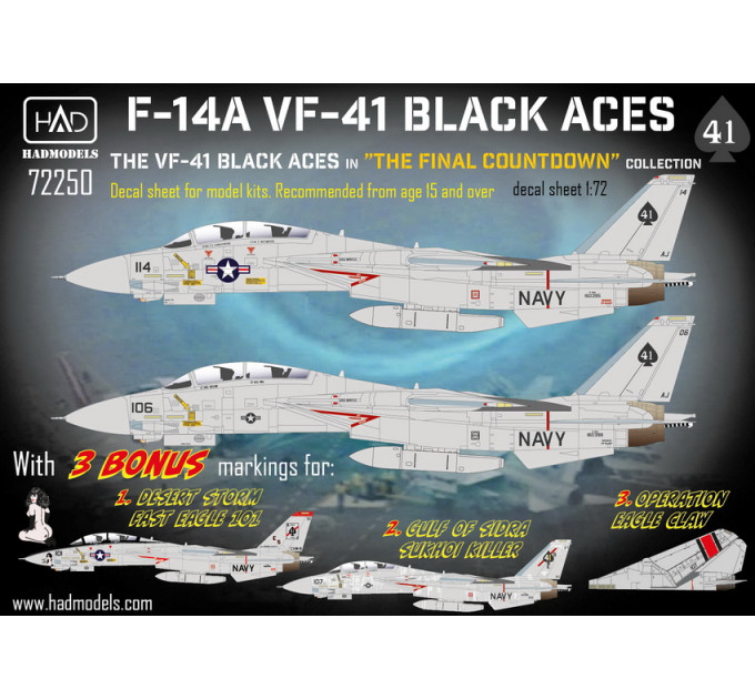 Декаль F-14A 1/72 HADmodels 72250