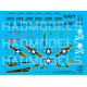 Декаль F-14A Jolly Rogers 1/72 HADmodels 72251