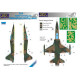 Маска камуфляжного фарбування F-5A 1/48 LFmodels M4880
