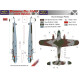 Маска камуфляжного фарбування Do 17E-1 1/72 LFmodels M7224