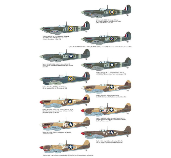 EAGLE´s CALL 1/48