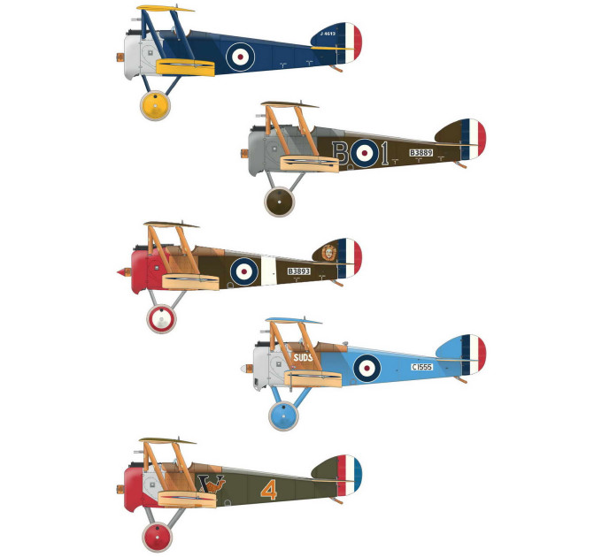 Camel & Co. 1/48