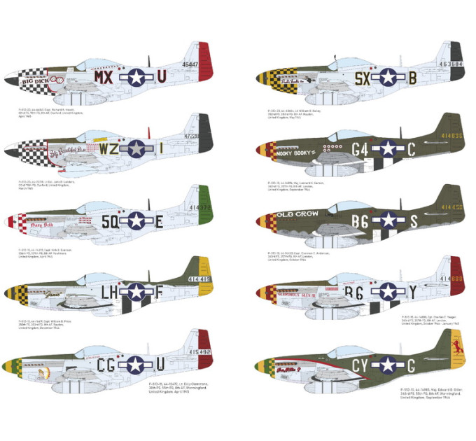 MIGHTY EIGHTH: 66th Fighter Wing 1/48