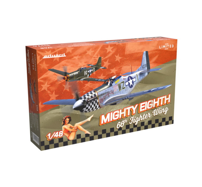 MIGHTY EIGHTH: 66th Fighter Wing 1/48