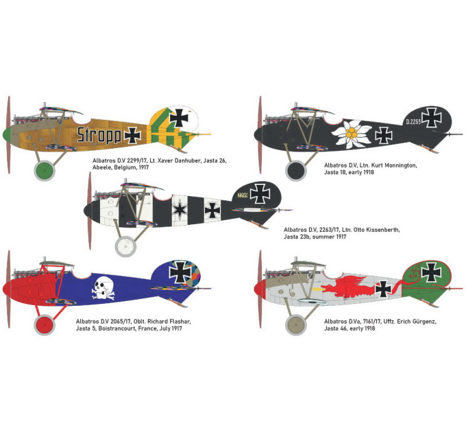 Albatros D. V 1/48
