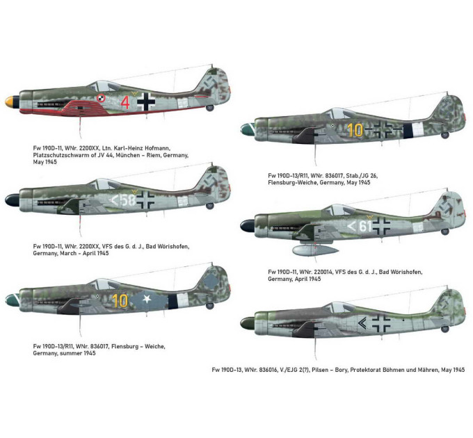 Fw 190D-11/ D-13 1/48