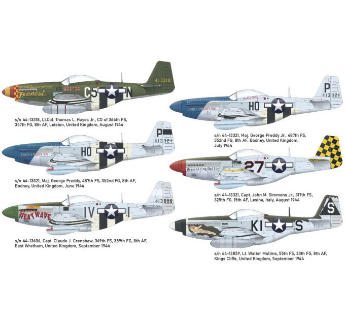 P-51D-5 1/48