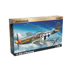 P-51D-5 1/48