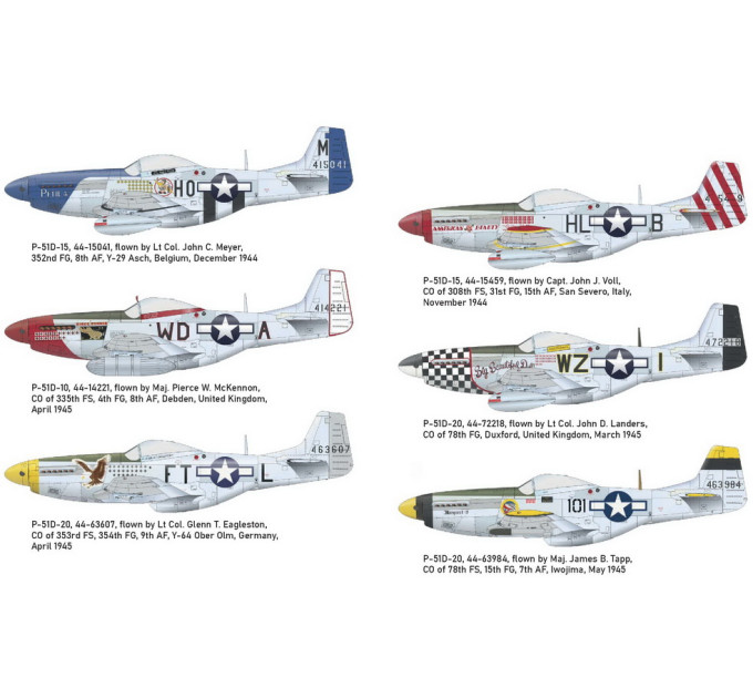 P-51D Mustang 1/48
