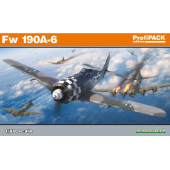 Fw 190A-6 1/48