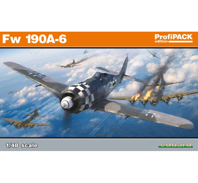 Fw 190A-6 1/48