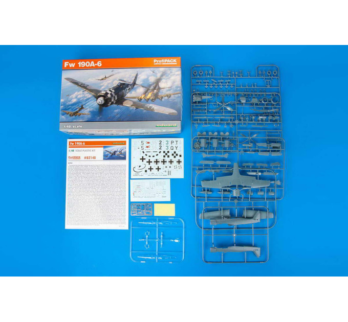 Fw 190A-6 1/48