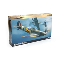 Spitfire Mk.IIb 1/48